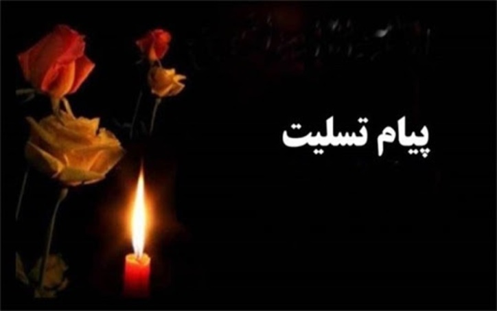 پیام تسلیت سرپرست معاونت امور معادن و صنایع معدنی وزارت صمت در پی جان باختن معدنکاران معدن زغال سنگ طرزه