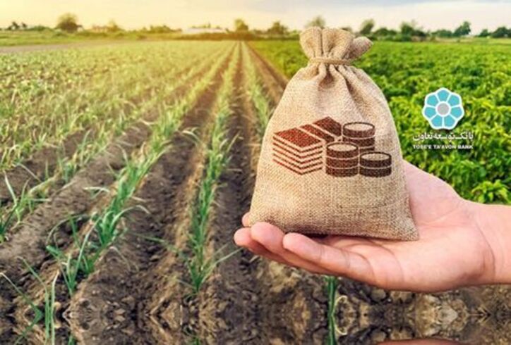 پرداخت ۲۴ هزار و ۵۰۰ میلیارد ریال تسهیلات اشتغال بانک توسعه تعاون
