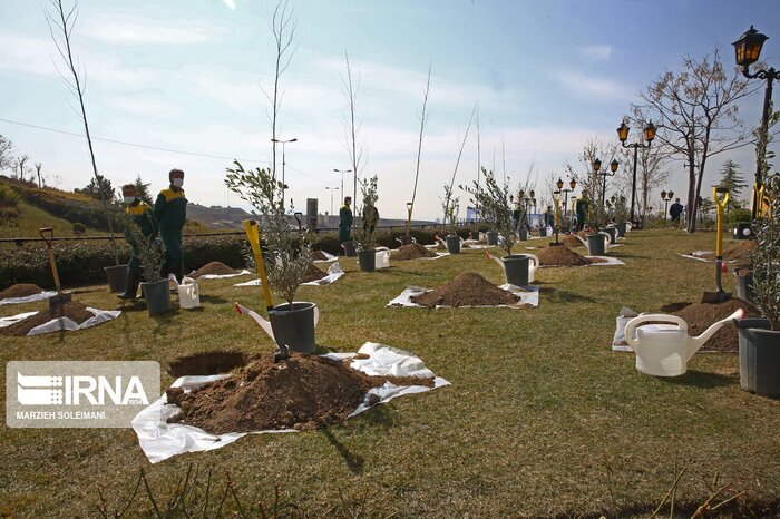 روز جهانی زمین پاک؛ نمادی از ترویج فرهنگ پاسداری از محیط زیست روز جهانی زمین پاک؛ نمادی از ترویج فرهنگ پاسداری از محیط زیست
