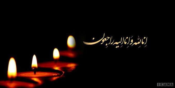 رئیس کمیسیون اقتصادی مجلس درگذشت اکبر ترکان را تسلیت گفت