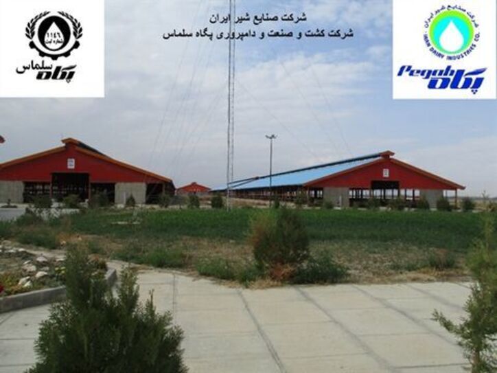 حمایت۲۴۰میلیاردی بانک کشاورزی از راه‌اندازی گاوداری شیری ۲۰۰۰راسی