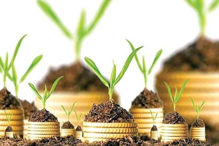 افزایش ۷۲درصدی ضریب پوشش خدمات بیمه‌ای در روستا‌ها