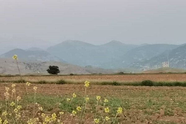 غبار صنعت سیمان بر پیکر سبز و کهن دیلمان گیلان غبار صنعت سیمان بر پیکر سبز و کهن دیلمان گیلان