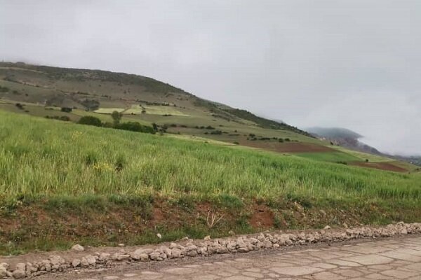 غبار صنعت سیمان بر پیکر سبز و کهن دیلمان گیلان غبار صنعت سیمان بر پیکر سبز و کهن دیلمان گیلان