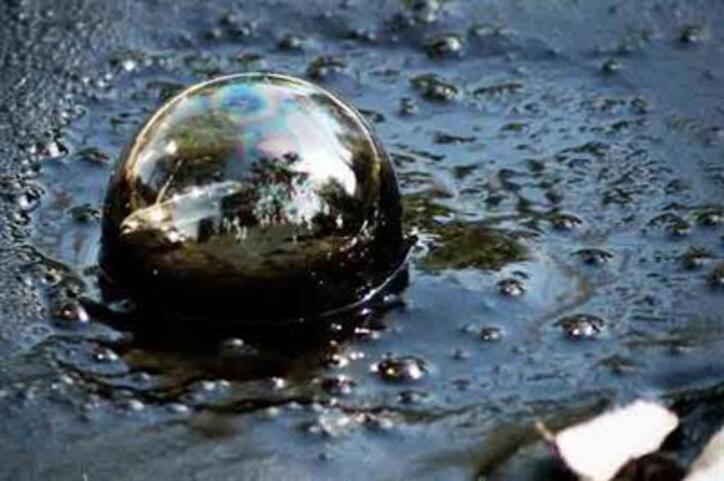 لوب کات و وکیوم باتوم در سبد خریداران بورس کالا