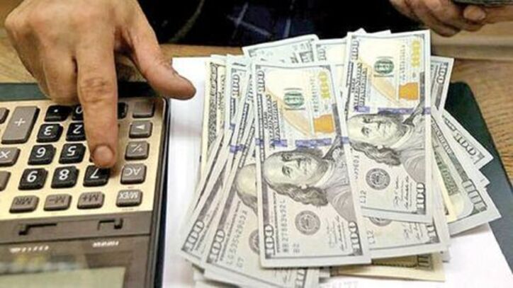 باید‌ها و نباید‌های سیاست ارزی دولت جدید