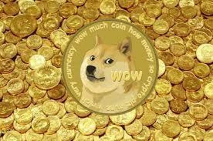 بررسی اظهارات اخیر پالمر، خالق دوج‌کوین