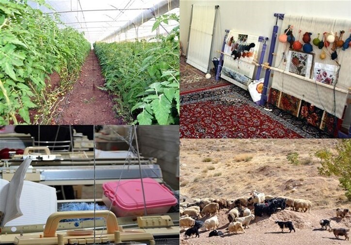 ایجاد ۲۶۸ هزار شغل پایدار با اجرای طرح اشتغال روستایی