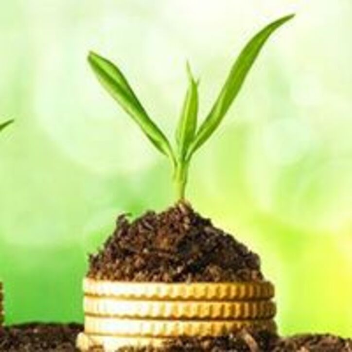 ۹۳ سال خدمت/ ادای دین بانک ملی ایران به طبیعت