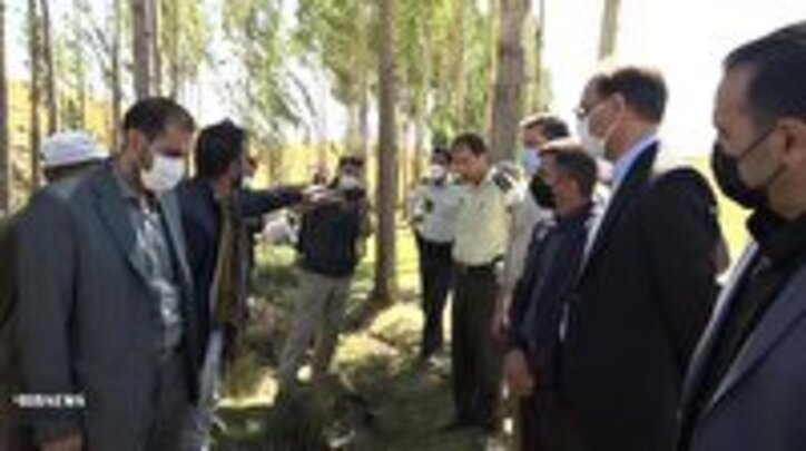 بررسی مشکلات زیست محیطی معدن فاقلوی تکاب