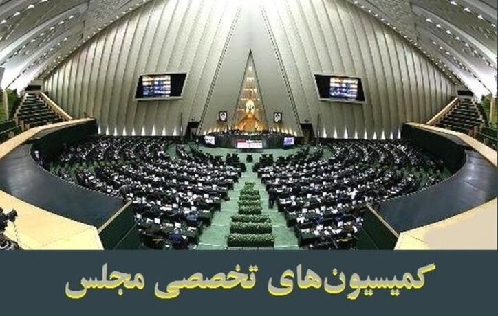 بررسی طرح ممنوعیت انتصاب دوتابعیتی‌ها/ ۱۲ عضو دولت به مجلس می‌روند/ تحقیق و تفحص از ایمیدرو روی میز مجلس