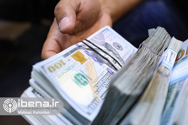 بار گرانی ارز بر گرده دولت/ آیا دولت قیمت ارز را بالا می‌برد؟