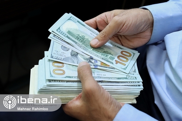 رییس کل بانک مرکزی برنامه‌های دقیقی برای کاهش و تثبیت نرخ ارز دارد