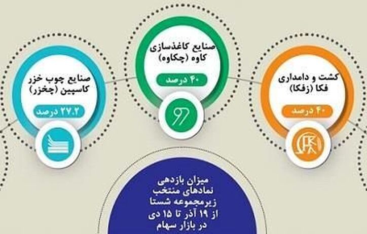 بازدهی ۱۶،۶ درصدی شستا در بورس طی ۴ هفته اخیر