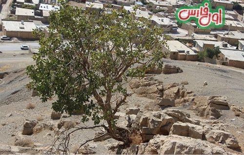 معدن سنگ شگفت انگیز هخامنشیان برای ساخت تخت جمشید معدن سنگ شگفت انگیز هخامنشیان برای ساخت تخت جمشید