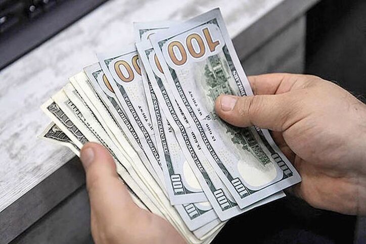 اشتباه دلاری دولت رئیسی/ چه کسانی از رانت ۵ هزار یورویی بهره می‌برند؟/ فقط در دولت خاتمی نرخ تک ارزی بود