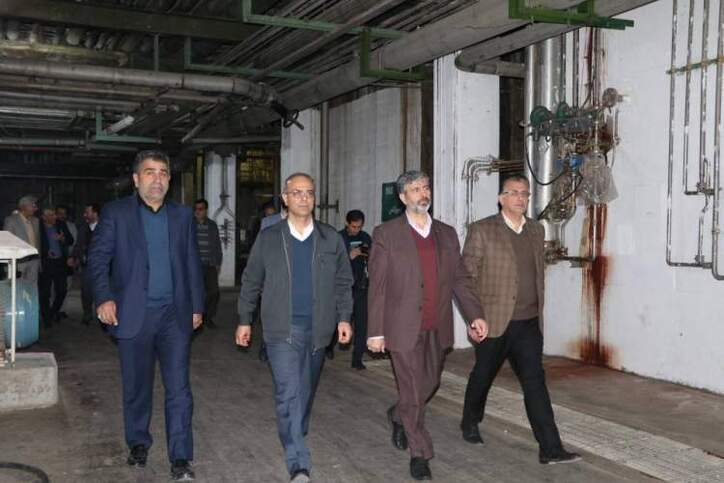 آمادگی شستا برای سرمایه‌گذاری بیشتر در چوب و کاغذ مازندران