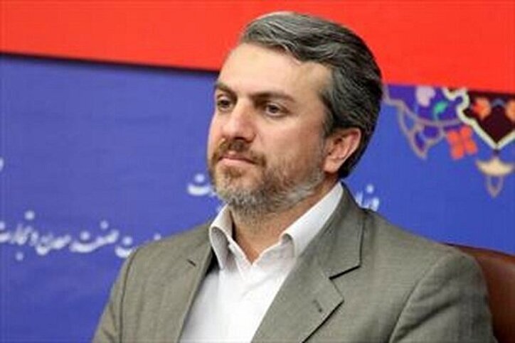 فاطمی امین: صادرات ایران به آفریقا ۲ برابر شد