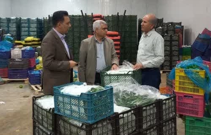 بهره‌مندی از ظرفیت‌های قانونی برای افزایش تولید و اشتغال در جنوب کرمان