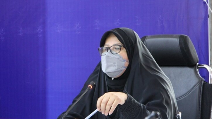 حذف ارز ترجیحی مانع خروج سرمایه از کشور می‌شود