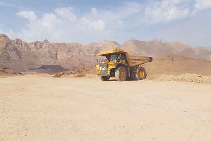 دست ما کوتاه و خرما بر نخیل