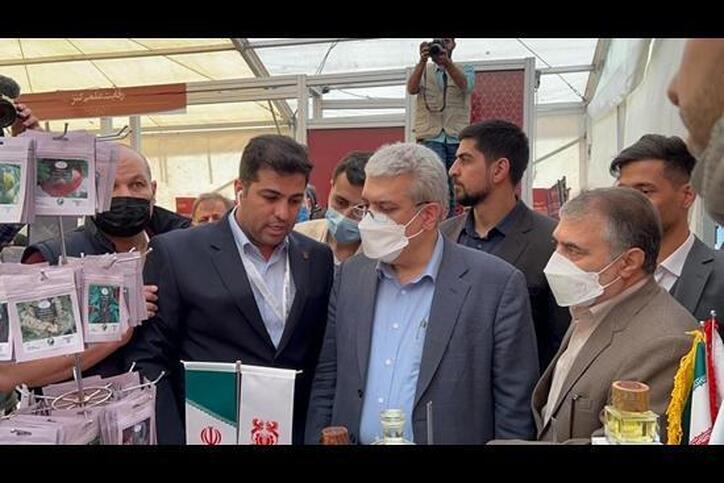ایجاد مرکز دانش‌بنیان از سوی شرکت مس اقدام ارزشمندی است