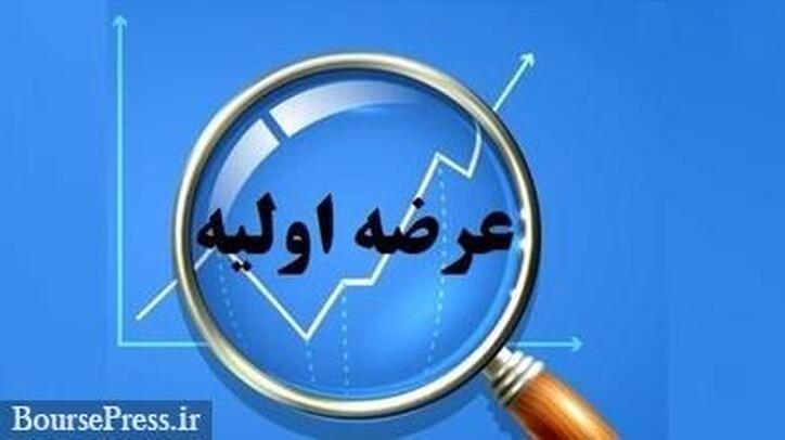 انتقادات فعالان بازار از روش عرضه اولیه جدید با مثالی از 