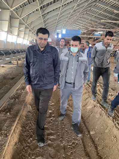 بازدید مدیر عامل شرکت گسترش صنایع معدنی کاوه پارس و مهندس حسینی مدیرعامل گروه سیمان تهران از شرکت سیمان ایلام بازدید مدیر عامل شرکت گسترش صنایع معدنی کاوه پارس و مهندس حسینی مدیرعامل گروه سیمان تهران از شرکت سیمان ایلام