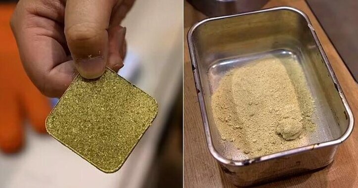 تبدیل پسماند‌های غذایی به سیمان در توکیو!