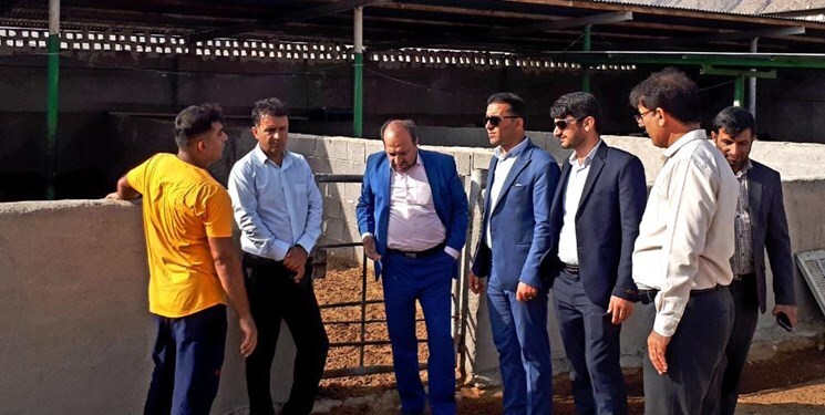 جلوگیری از خامفروشی معادن سلستین مهمترین مطالبه مردم بهمئی جلوگیری از خامفروشی معادن سلستین مهمترین مطالبه مردم بهمئی
