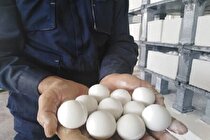صنعت کاشی و سرامیک از واردات گلوله‌های سرامیکی بی نیاز می‌شود