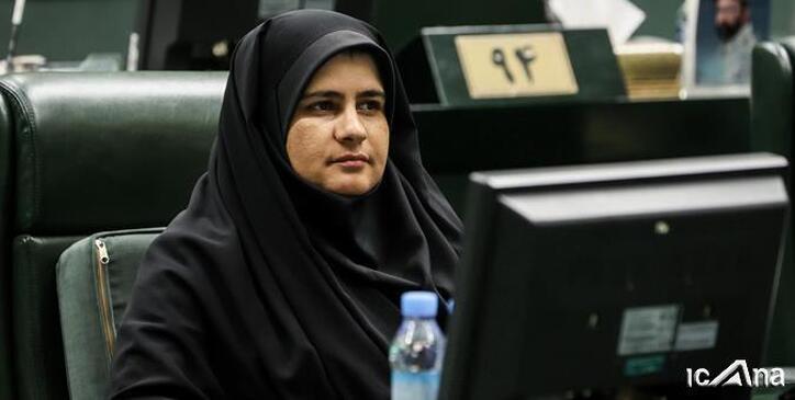 نباید با استیضاح وزیر صمت ترمز حرکت قطار اقتصادی دولت را بکشیم/ فاطمی‌امین در زمینه خودرو از برنامه ارائه داده به مجلس جلوتر است