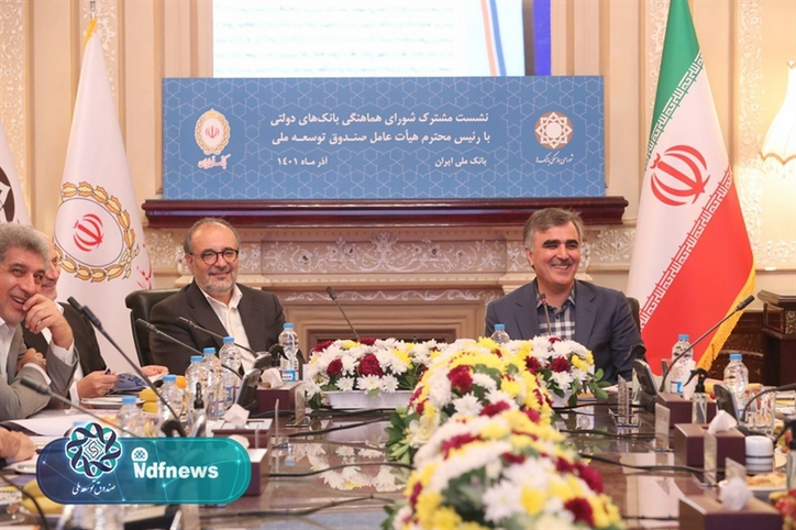 پیشنهاد صندوق توسعه ملی برای تسویه بدهی دولت / بانک‌ها در بازگشت تسهیلات ارزی همکاری کردند