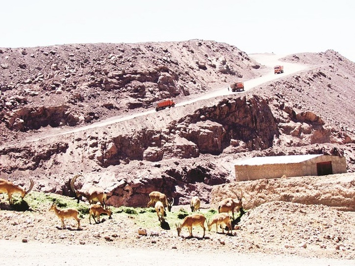 هشدار که آرامش‌شان را نخراشی