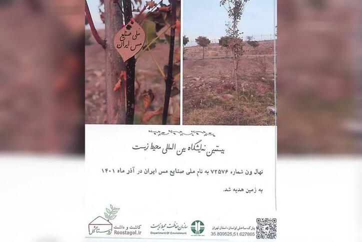 کاشت نهالی به نام شرکت ملی مس به پاس قدردانی از اقدامات محیط زیستی