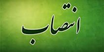 مدیر واحد کار و خدمات اشتغال منطقه ویژه اقتصادی لامرد منصوب شد