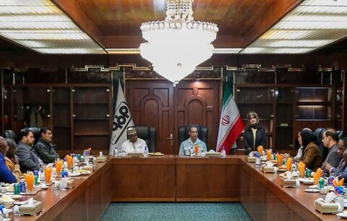 استفاده از محصولات فولاد مبارکه در عمران و شهرسازی نیجر
