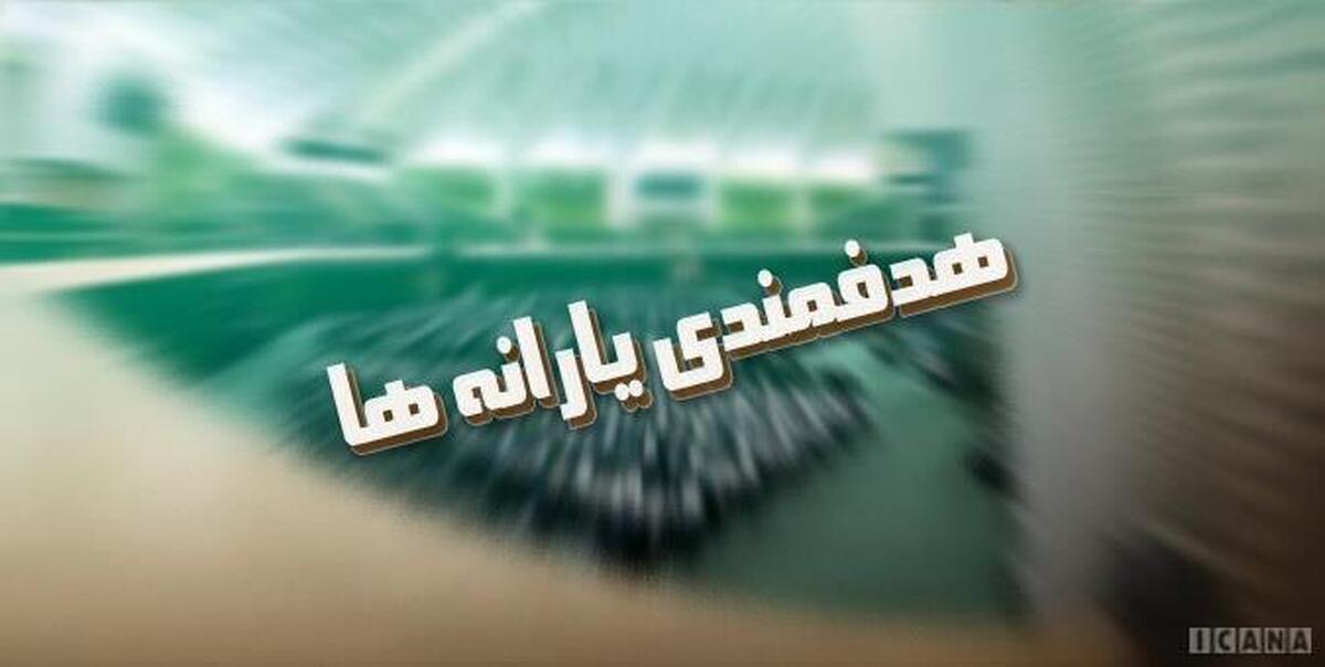 بررسی منابع و مصارف قانون هدفمندی یارانه‌ها توسط دیوان محاسبات/ ارسال نتایج بررسی‌ها به مجلس و صاحب‌نظران اقتصادی