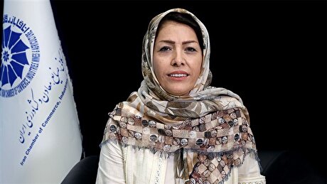 مشکلات بیمه سبز، ایران را به ناوگان خارجی وابسته می‌کند