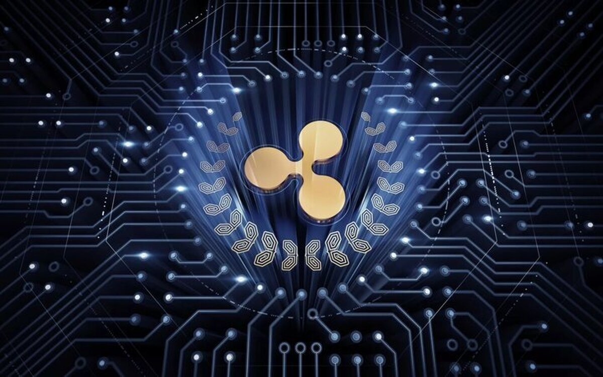 صندوق ETF ریپل در راه است