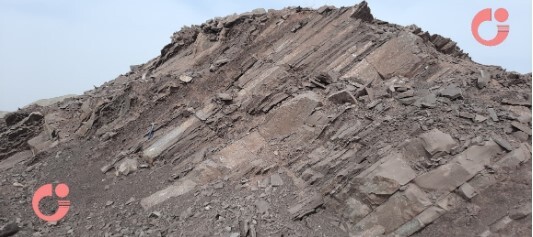 کشف ردپای پرندگان در رسوبات مربوط به ۳۳ تا ۲۷ میلیون سال پیش ناحیه قم کشف ردپای پرندگان در رسوبات مربوط به ۳۳ تا ۲۷ میلیون سال پیش ناحیه قم