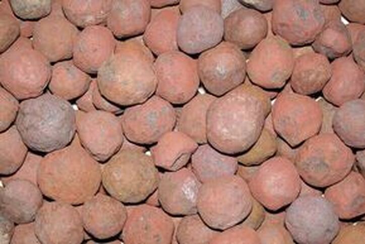 کشف قاچاق ۴۱ تن گندله به خارج از کشور