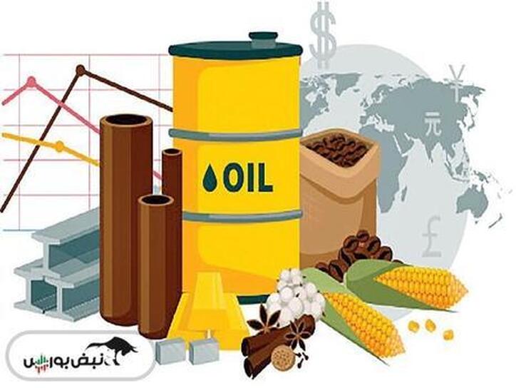 تحریم‌ها چه تاثیری بر صنایع کامودیتی محور ایران دارد؟