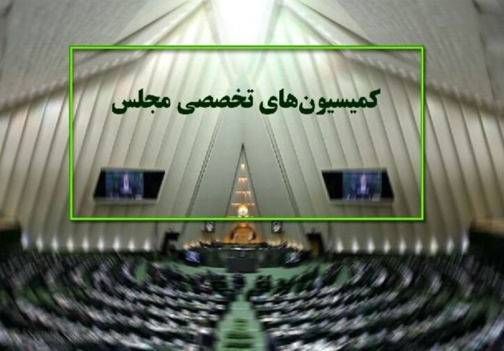 حضور وزیر پیشنهادی صمت در کمیسیون‌های صنایع و اقتصادی مجلس