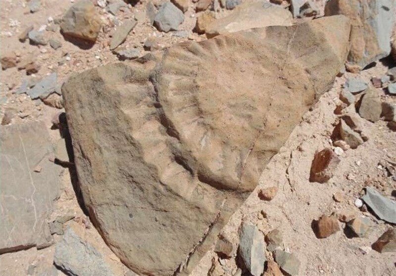 توضیح میراث فرهنگی درباره موافقت با مجوز معدنی در کوه چرخه نطنز توضیح میراث فرهنگی درباره موافقت با مجوز معدنی در کوه چرخه نطنز