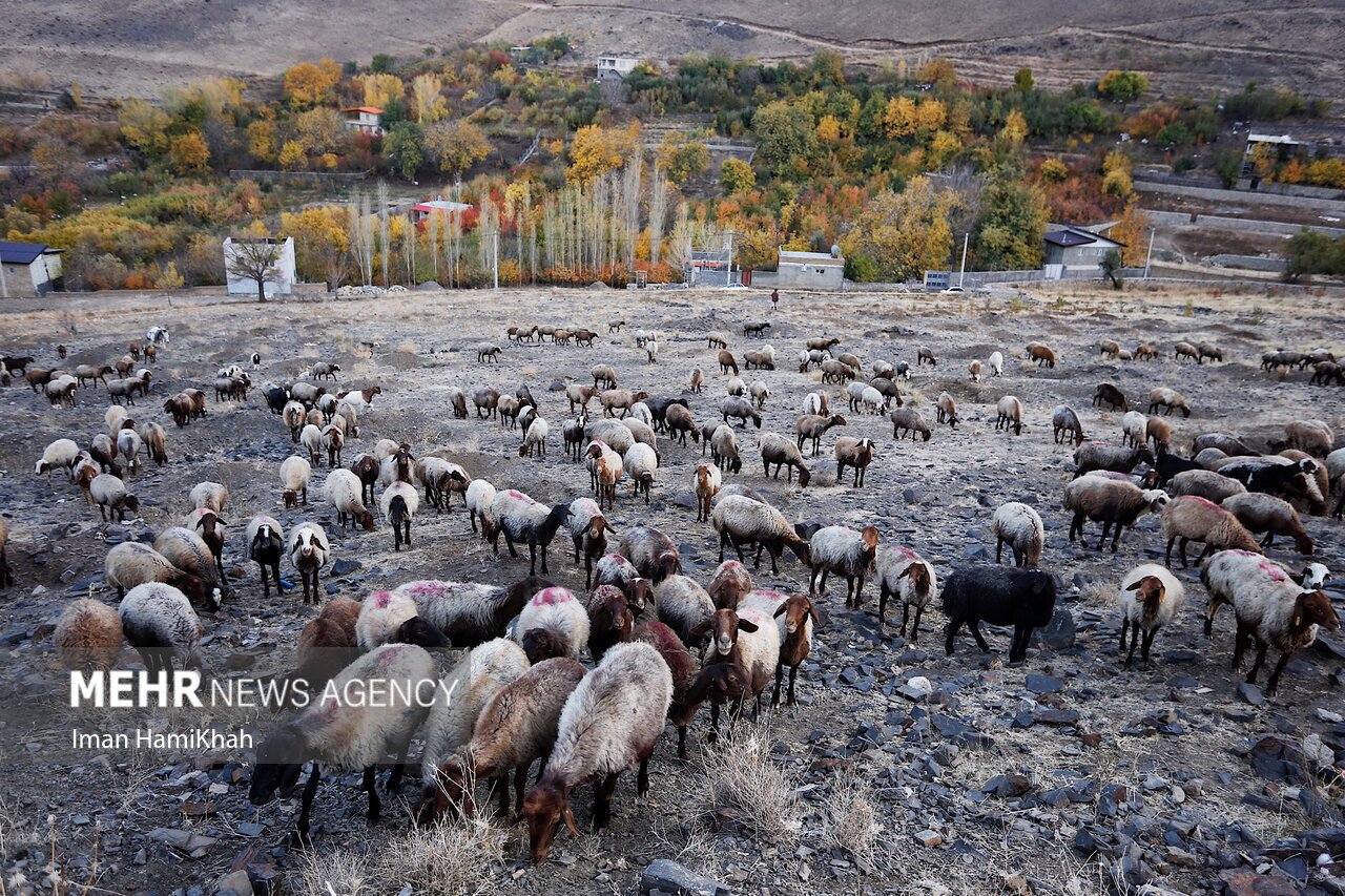 سنگینی سیمان بر سینه پایتخت تمدن/ نبض کوهستان الوند کند شد سنگینی سیمان بر سینه پایتخت تمدن/ نبض کوهستان الوند کند شد