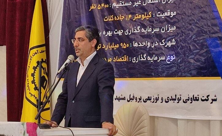 بروکراسی راه‌اندازی شهرک‌های صنعتی را دشوار کرده است