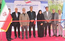 رشد ۴ درصدی تولیدات کاغذ و بسته‌بندی در سه‌ماهه نخست امسال/ وظیفه‌مان تسهیل‌گری و رفع موانع است