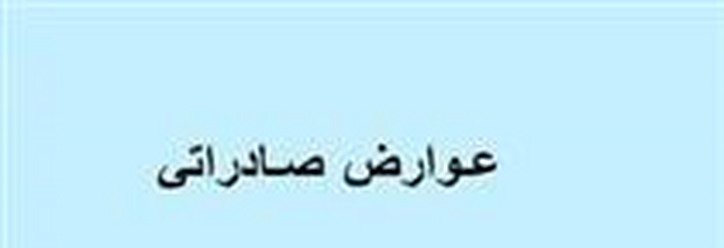 پرداخت عوارض صادراتی ۰.۵ درصدی برای محصول پتروشیمی بورسی