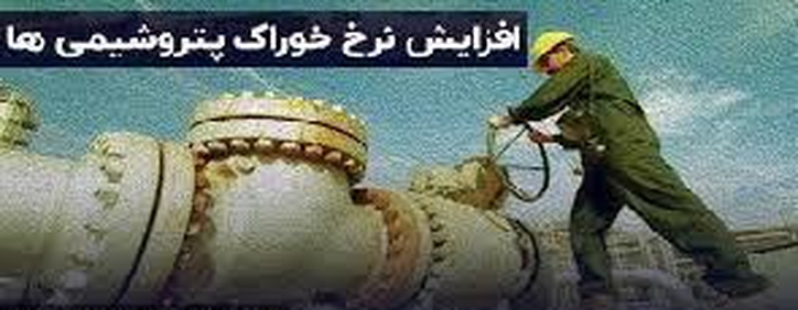 درخواست لغو مصوبه نرخ خوراک پتروشیمی به دلیل نقض ۳ قانون توسط دولت!